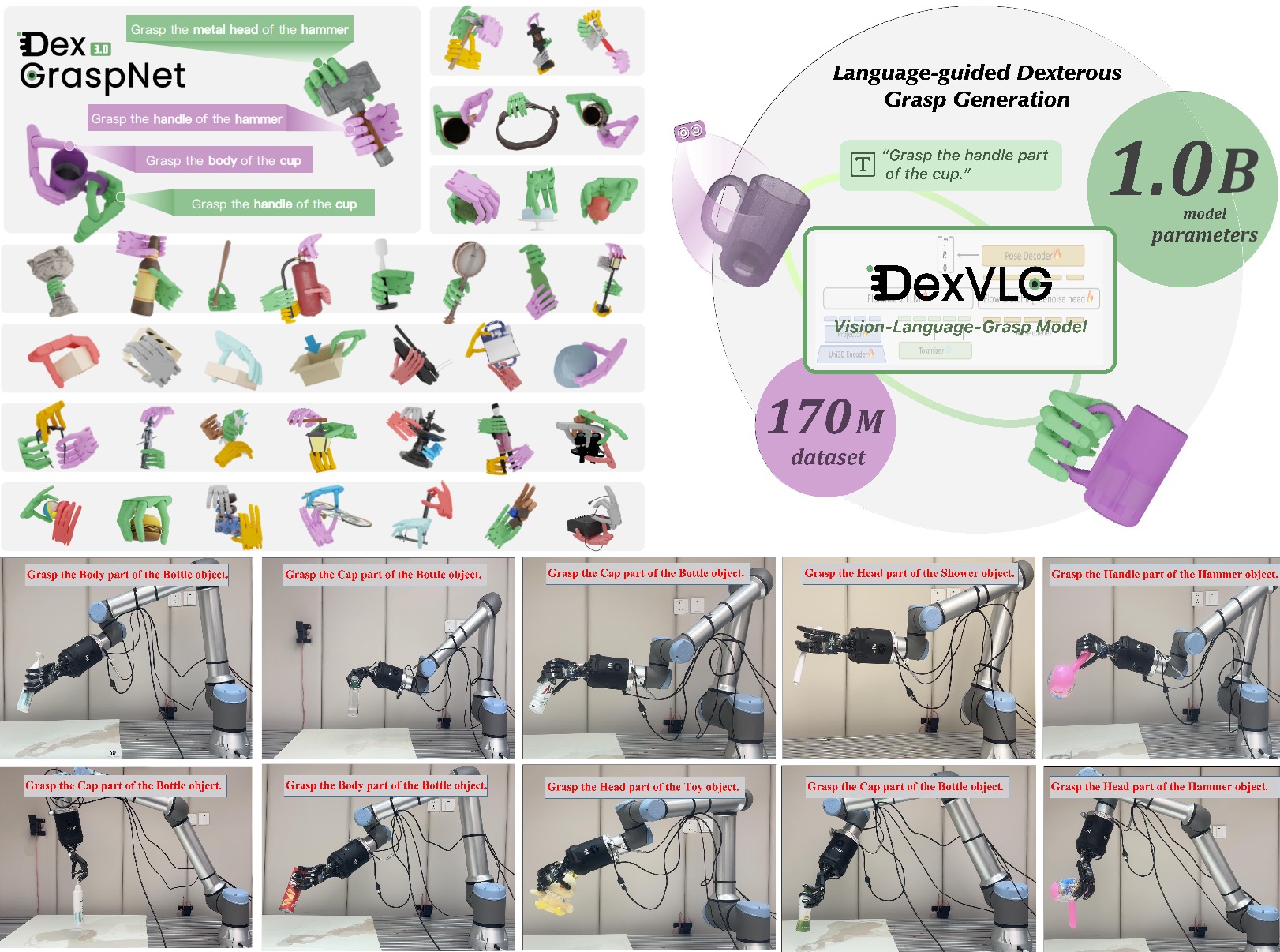 DexVLG